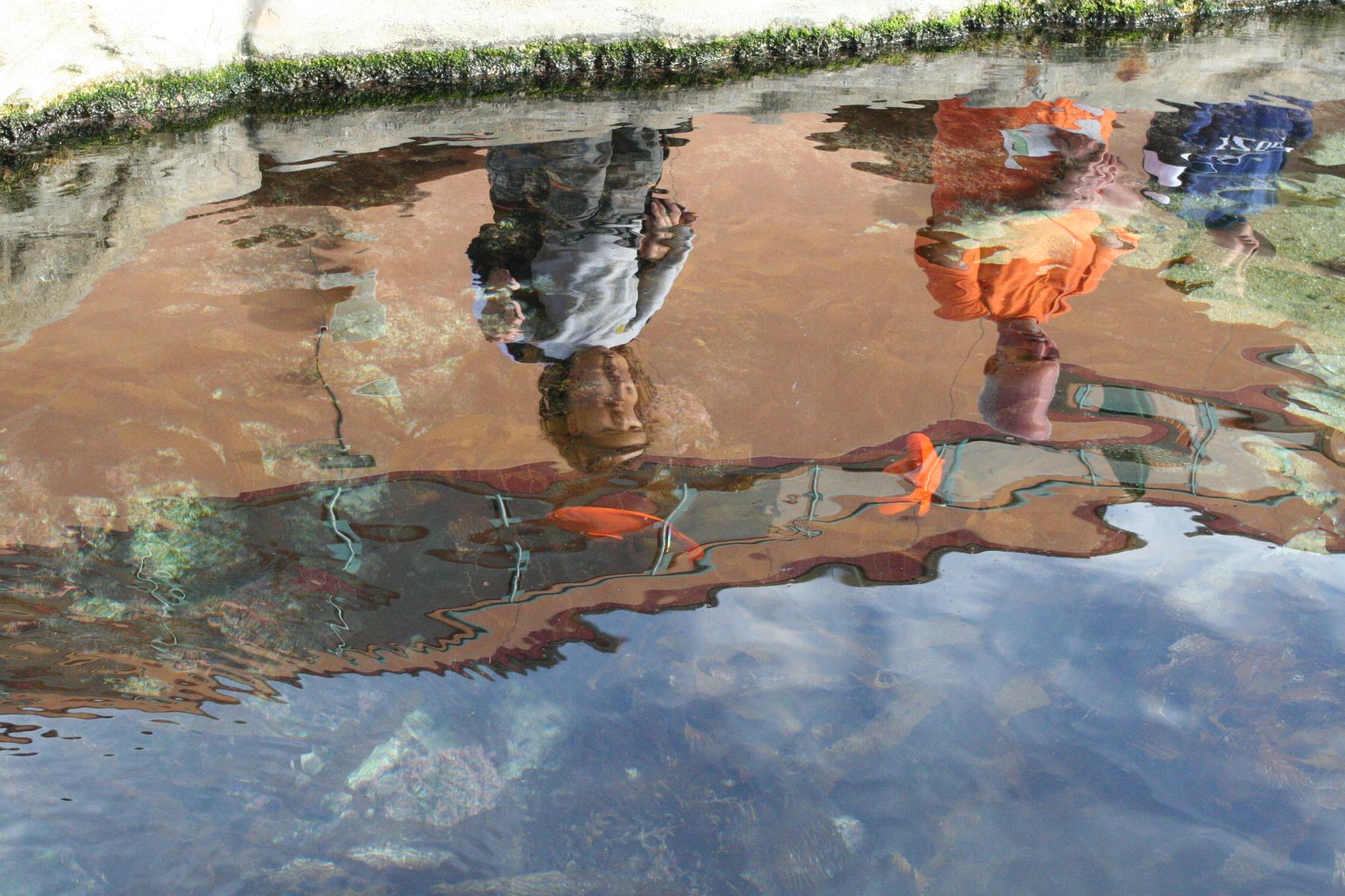 Image of auto detailing products, Reflective - File:Photo of two people reflected in a fish pond.JPG